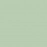 Gloss Finish Enamel White Green 1071