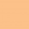 Eggshell Matt Finish apricot new 568