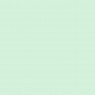 Eggshell Matt Finish light green 507