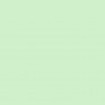 Eggshell Matt Enamel light green 721