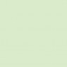 Gold Series Distemper pastel green 1427