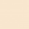 Eggshell Matt Finish rose white 549