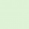 Eggshell Matt Finish sherbet 555