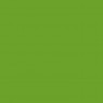 Synthethic Enamel spring green 7007