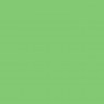 Eggshell Matt Finish topiary green new 595
