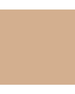 Eggshell Matt Finish abbey cream 566