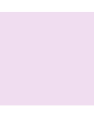 Plastic Emulsion classical 8070