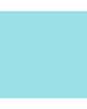 Aqueous Matt Finish sea blue 676