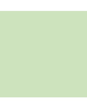 Aqueous Matt Finish light green 692