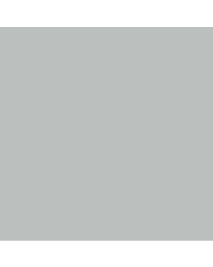 Aqueous Matt Finish sliver tone new 616